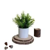 DOWNYPAWS - Plantes vertes artificielles en pot herbe de saule artificielle