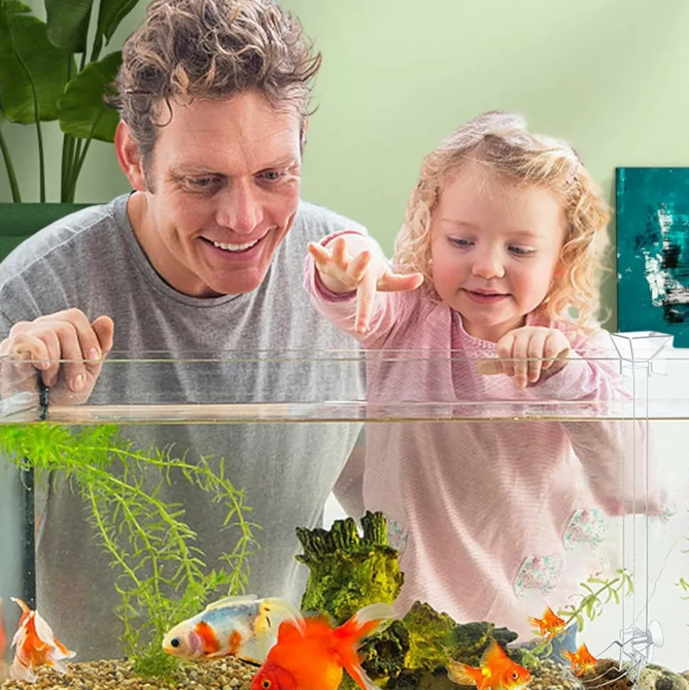 DOWNYPAWS - Plateau de nourriture transparent pour aquarium & crevettes s