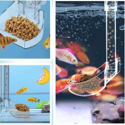 DOWNYPAWS - Plateau de nourriture transparent pour aquarium & crevettes l