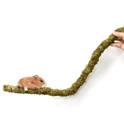DOWNYPAWS - Poteau d'escalade en mousse 50 cm pour animaux de compagnie
