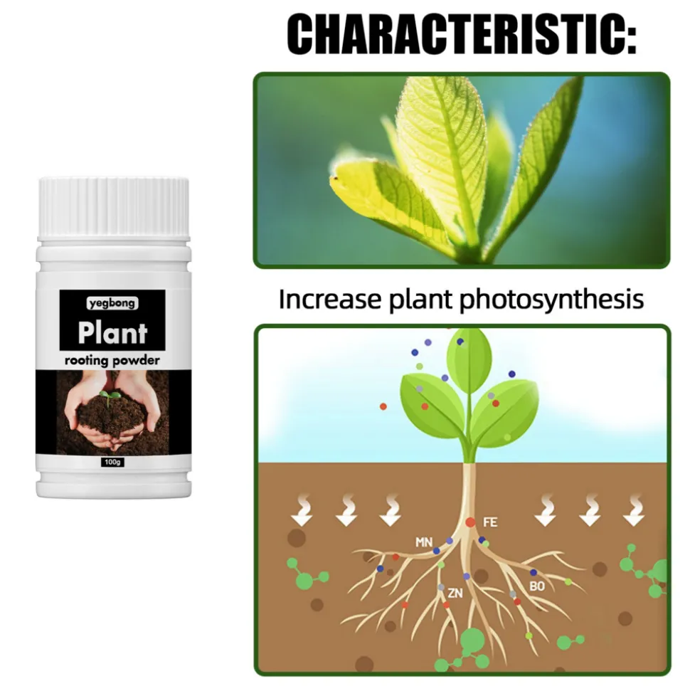 DOWNYPAWS - Poudre de germination et d'enracinement des plantes 100g