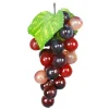 DOWNYPAWS - Raisins artificiels très réalistes 24 pièces couleur agate * 3