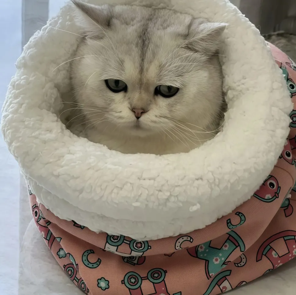 DOWNYPAWS - Sac de couchage pour chat: nid semi - fermé 360° chaud doux en peluche