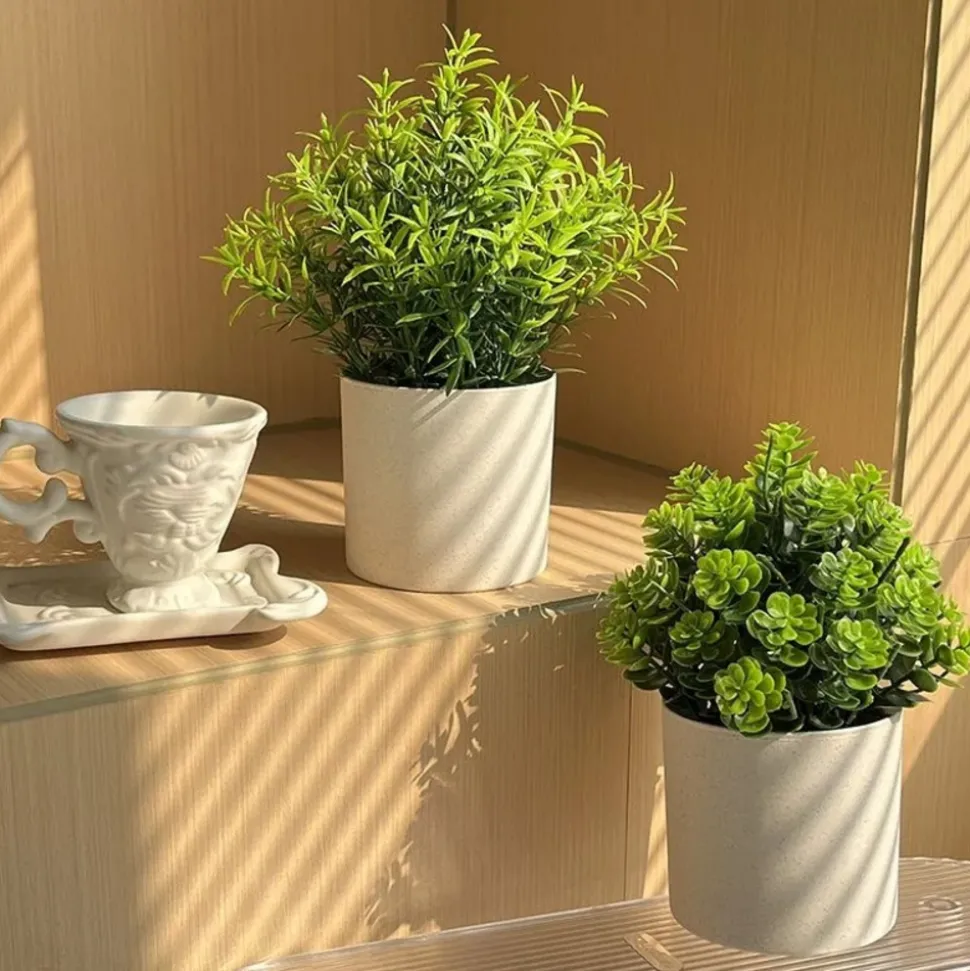 DOWNYPAWS - Simulation de plantes vertes en pot simulation de souchet