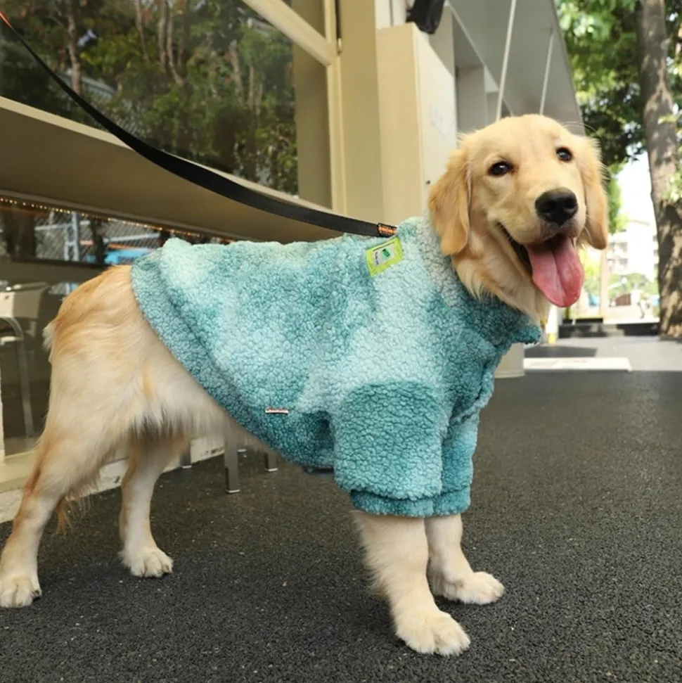 DOWNYPAWS - Vêtements pour chiens-manteau d'hiver pour petit chien poids recommandé 20kg: