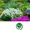 DTOPBUYAGE - Bande de bordure en pierre d'herbe 5 cm x 5 cm x 1 m dtopbuyage