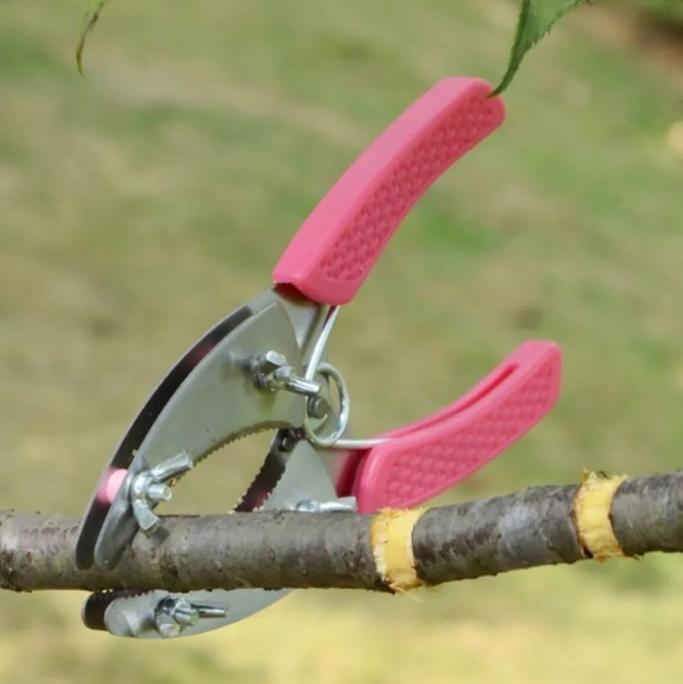 DTOPBUYAGE - Ciseaux de giration pour jardinage dtopbuyage