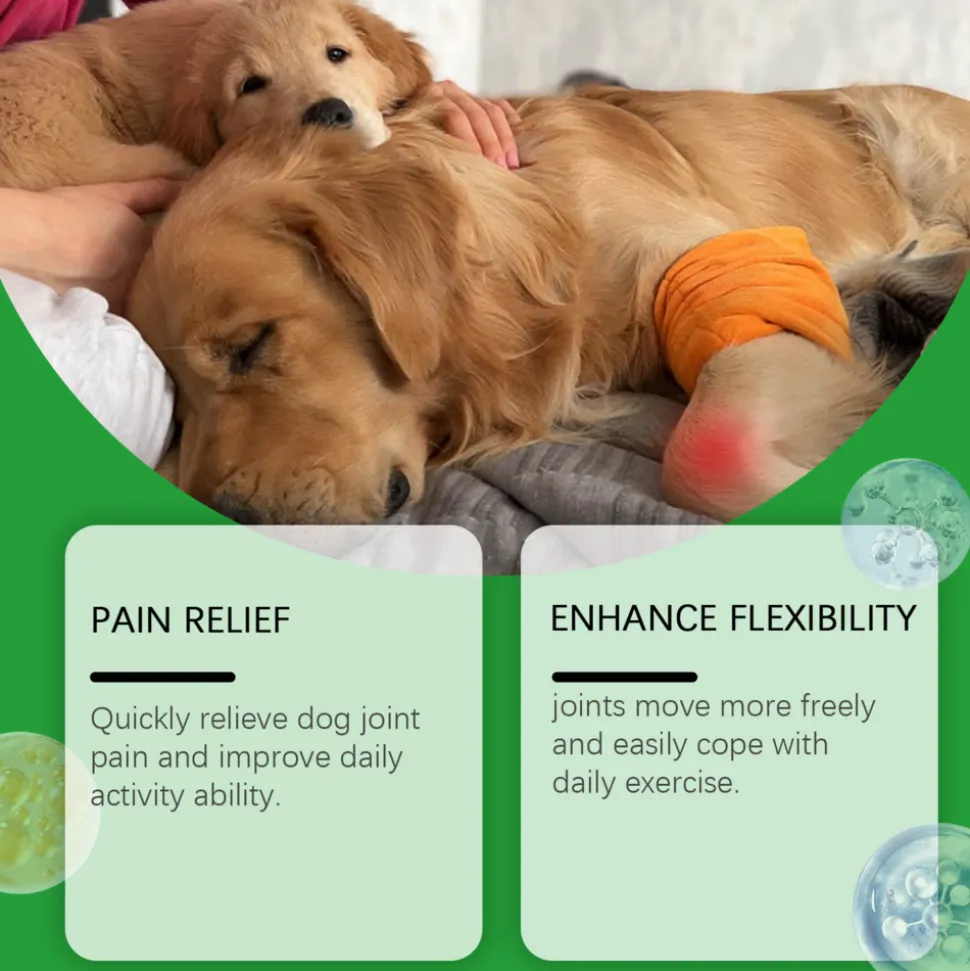DTOPBUYAGE - Comprimés de soin articulaire pour chiens, 80 tablets - dtopbuyage