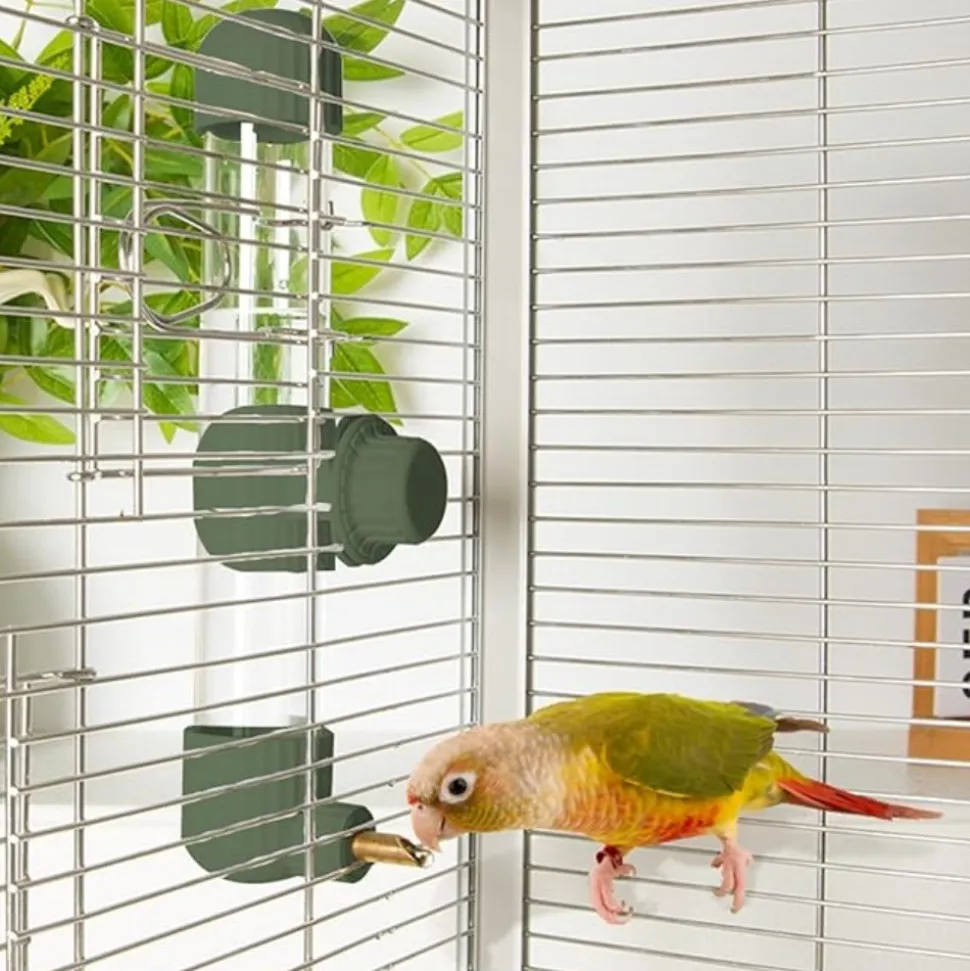 DTOPBUYAGE - Distributeur d'eau automatique vert 280 ml pour oiseaux
