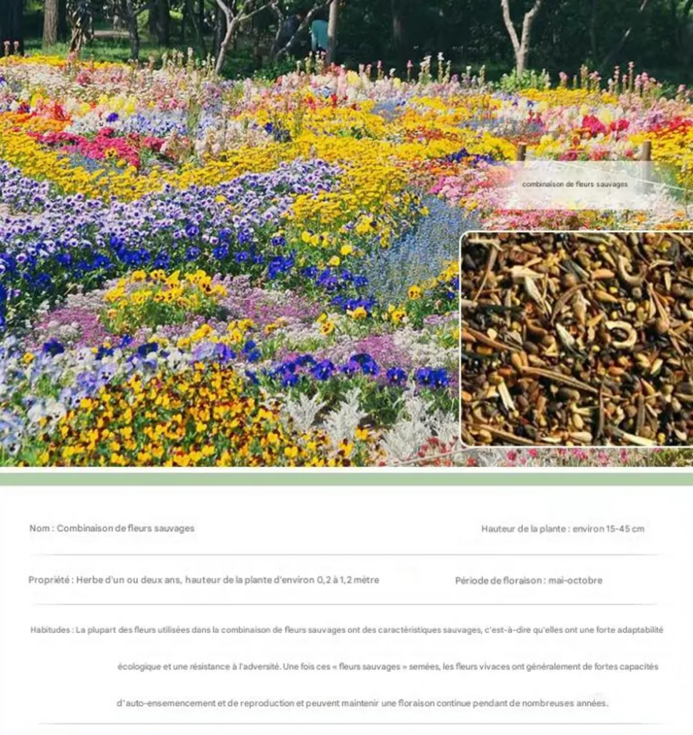 DTOPBUYAGE - Dtopbuyage - graines de fleurs sauvages 200 capsules