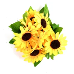 DTOPBUYAGE - Dtopbuyage - tournesol à grosses têtes - 2 pièces