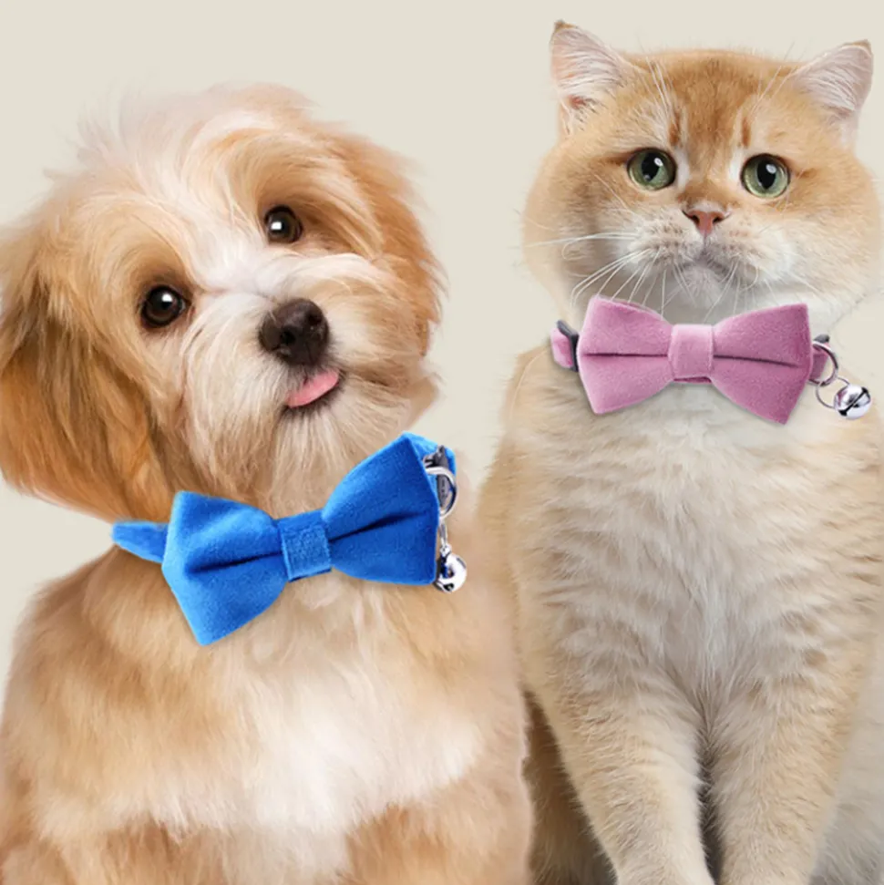 DTOPBUYAGE - Dtopbuyage collier nœud papillon pour chat