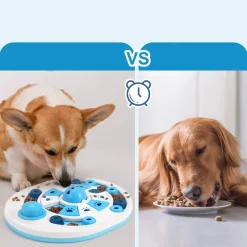 DTOPBUYAGE - Dtopbuyage jouet éducatif pour chat et chien gamelle slow food