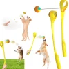 DTOPBUYAGE - Dtopbuyage jouet interactif pour chien