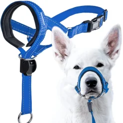 DTOPBUYAGE - Dtopbuyage licol anti-traction pour chien de taille moyenne