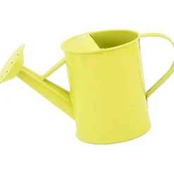 DTOPBUYAGE - Dtopbuyage pot d'arrosage moderne de 600 ml pour balcon et bureau