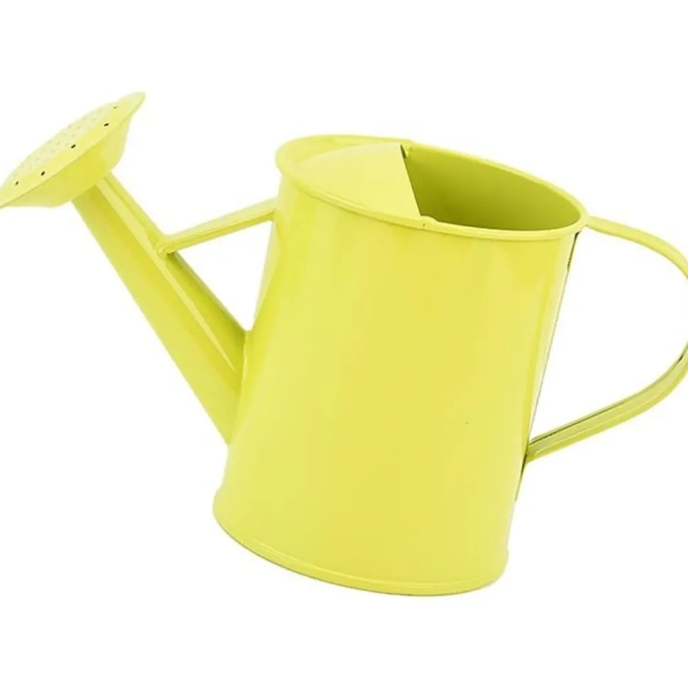 DTOPBUYAGE - Dtopbuyage pot d'arrosage moderne de 600 ml pour balcon et bureau