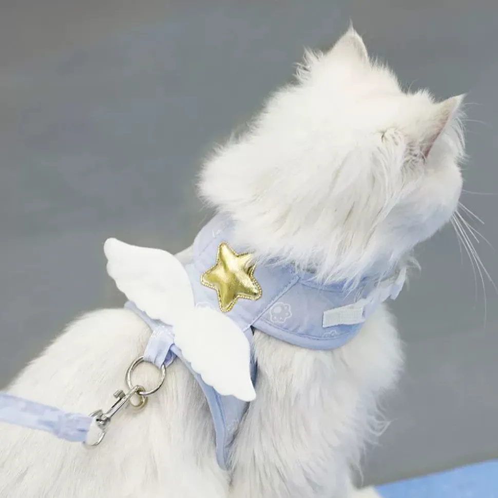 DTOPBUYAGE - Dtopbuyage traction à ailes d'ange pour chats et chiens
