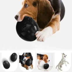 DTOPBUYAGE - Dtopbuyage œuf de dinosaure slow food pour chien