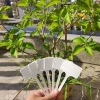 DTOPBUYAGE - Etiquettes pour plantes en plastique 20 pièces dtopbuyage
