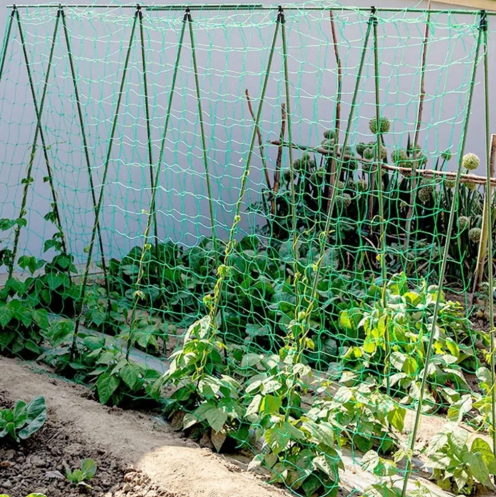DTOPBUYAGE - Filet de jardin pour plantes grimpantes 1.8*3.6 m dtopbuyage