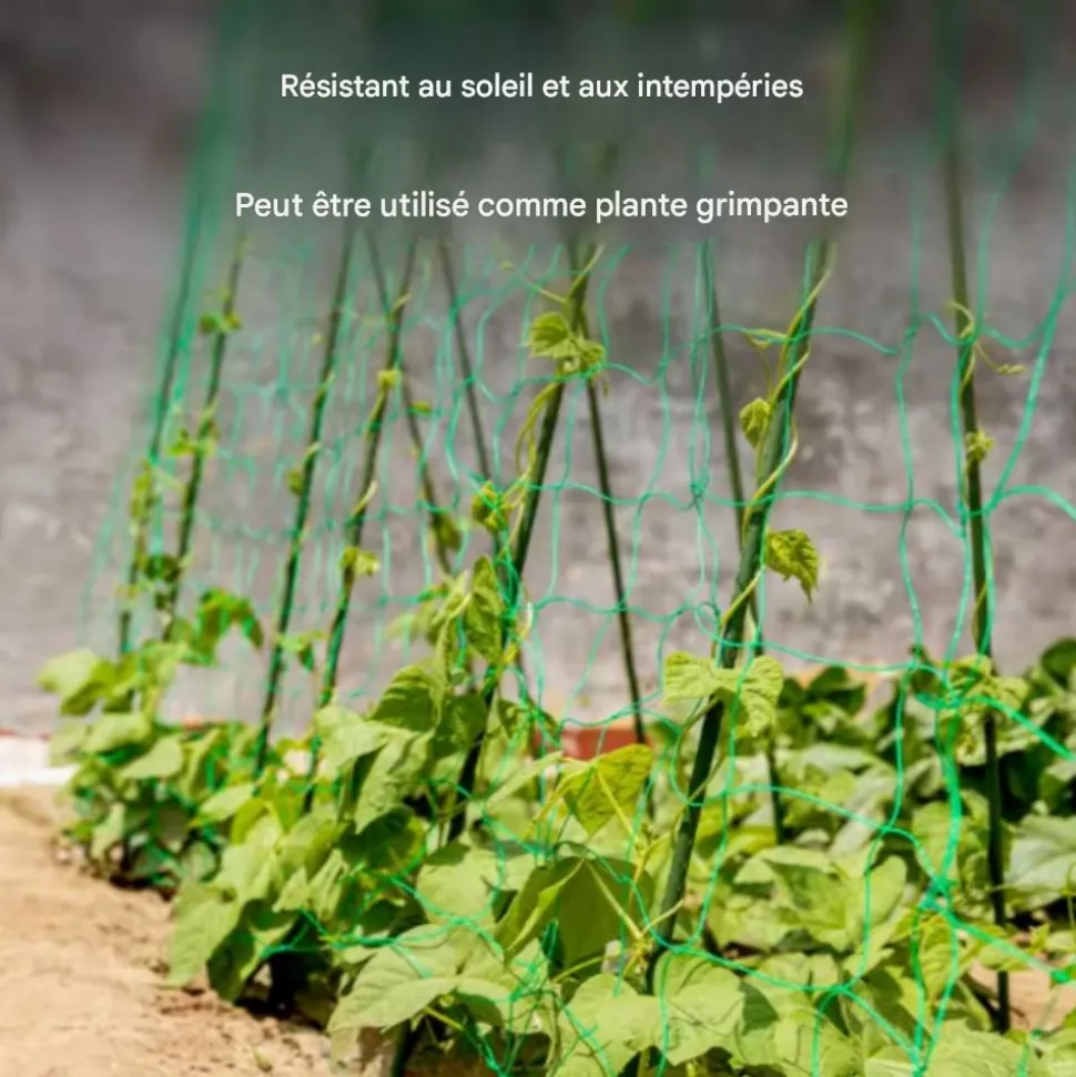 DTOPBUYAGE - Filet de jardin pour plantes grimpantes 1.8*3.6 m dtopbuyage