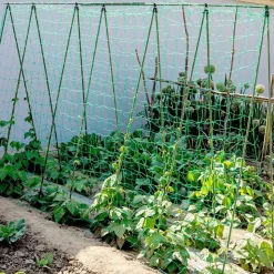 DTOPBUYAGE - Filet de jardin pour plantes grimpantes 2*3 m dtopbuyage