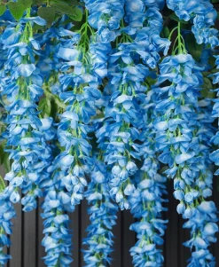 DTOPBUYAGE - Fleurs artificielles de glycine et de cassia fistula pour décoration du plafond bleu*2 pièces dtopbuyage
