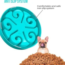 DTOPBUYAGE - Gamelle anti glouton bleu plateau interactif pour animaux compagnie