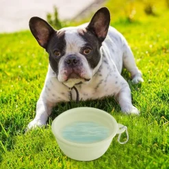 DTOPBUYAGE - Gamelle pliable pour chien en voyage dtopbuyage
