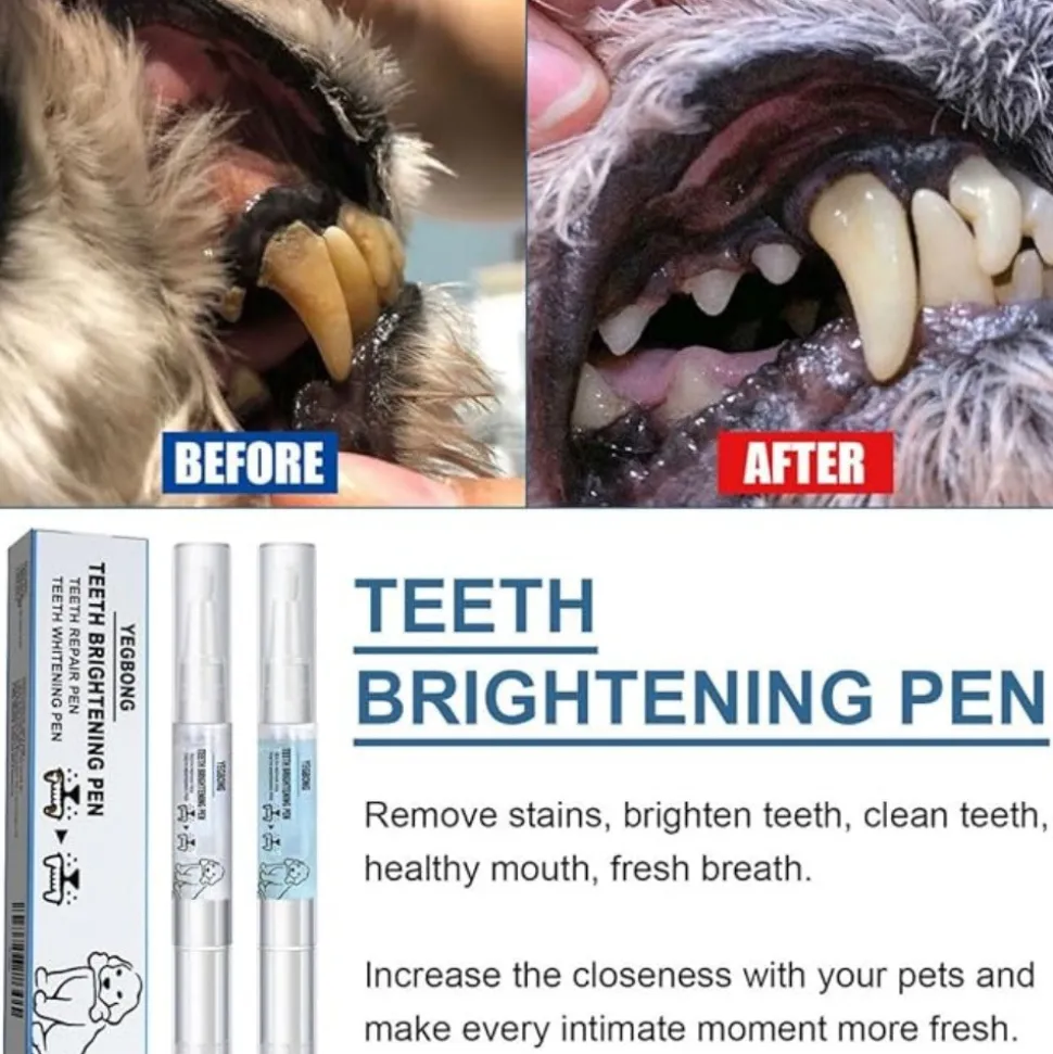DTOPBUYAGE - Gel de réparation buccale pour chien