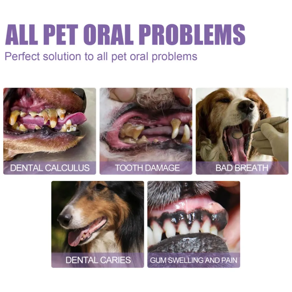 DTOPBUYAGE - Gel de soin buccal pour animaux de compagnie, 3 ml * 1 pièce - dtopbuyage