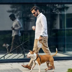 DTOPBUYAGE - Laisse extensible verrouillée 5m blanc chien