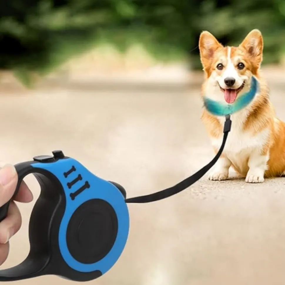 DTOPBUYAGE - Laisse rétractable 5m bleue pour chien