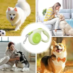 DTOPBUYAGE - Laisse rétractable antidérapante pour chiens