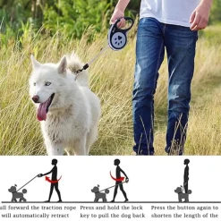 DTOPBUYAGE - Laisse rétractable 5 m pour chiens petit moyen taille bleu