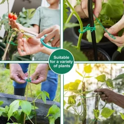 DTOPBUYAGE - Lot de 50 attaches réglables pour plantes 23cm*50 dtopbuyage