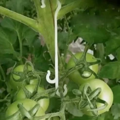 DTOPBUYAGE - Lot de 50 pinces à tomates en j 9.5cm dtopbuyage