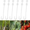 DTOPBUYAGE - Lot de 50 pinces à tomates en j 13cm dtopbuyage
