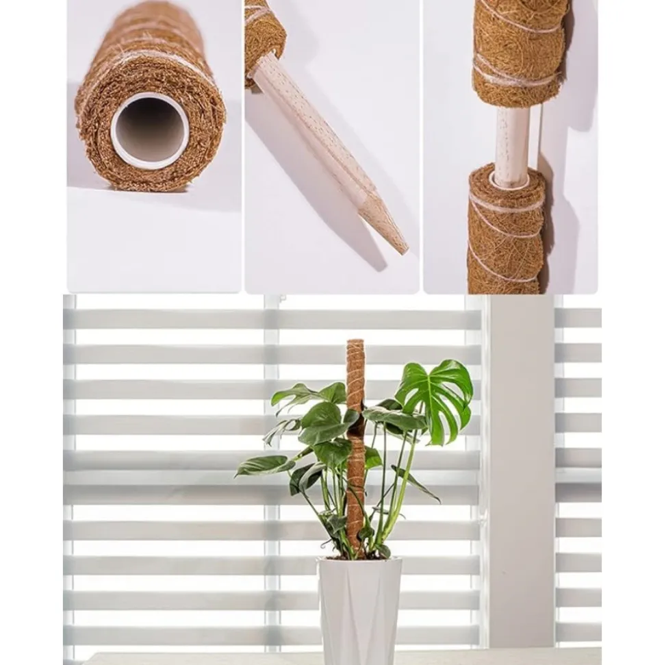 DTOPBUYAGE - Lot de 4 tuteurs en coco pour plantes