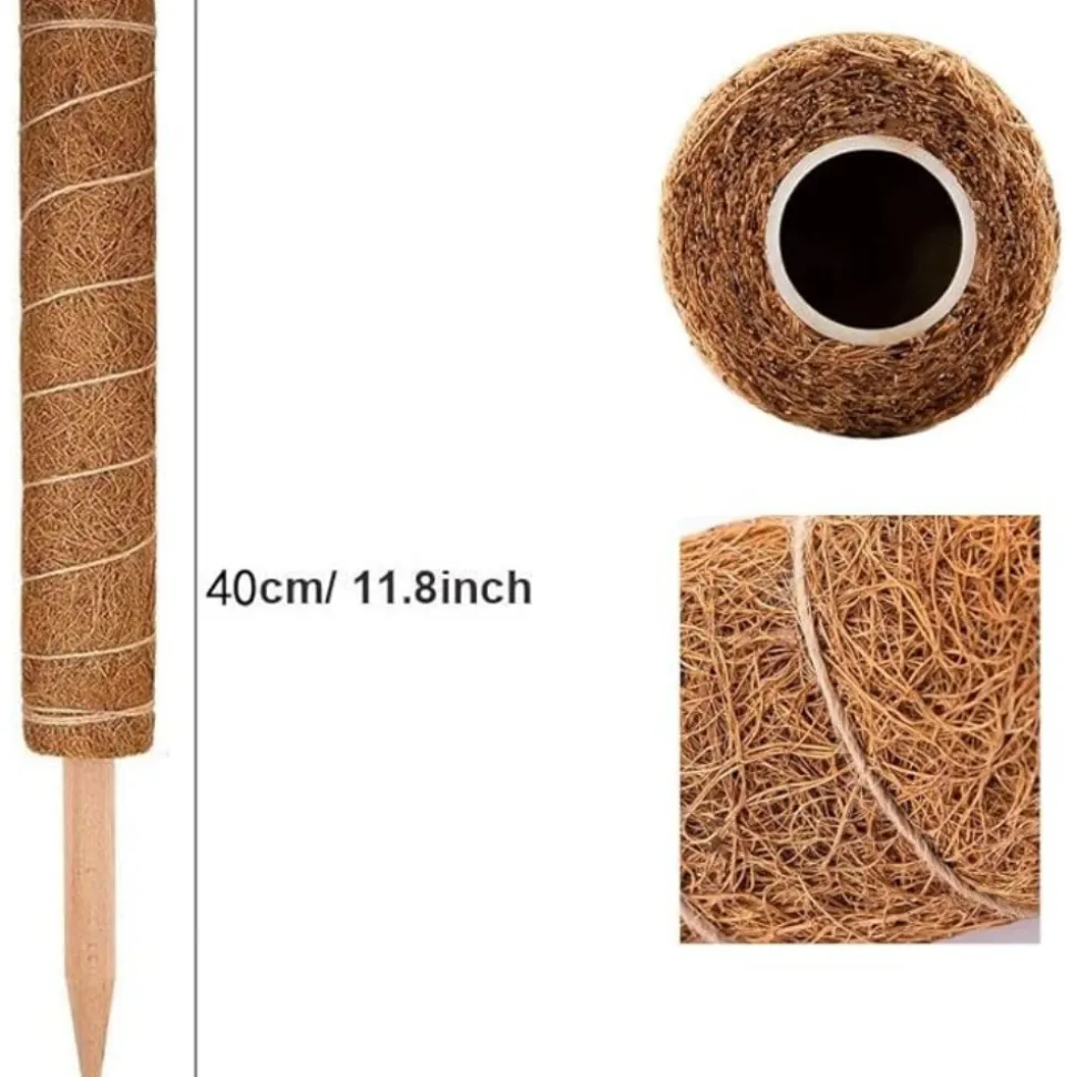 DTOPBUYAGE - Lot de 4 tuteurs en coco pour plantes