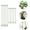 DTOPBUYAGE - Lot de 10 tuteurs pour plantes intérieures 37cm dtopbuyage