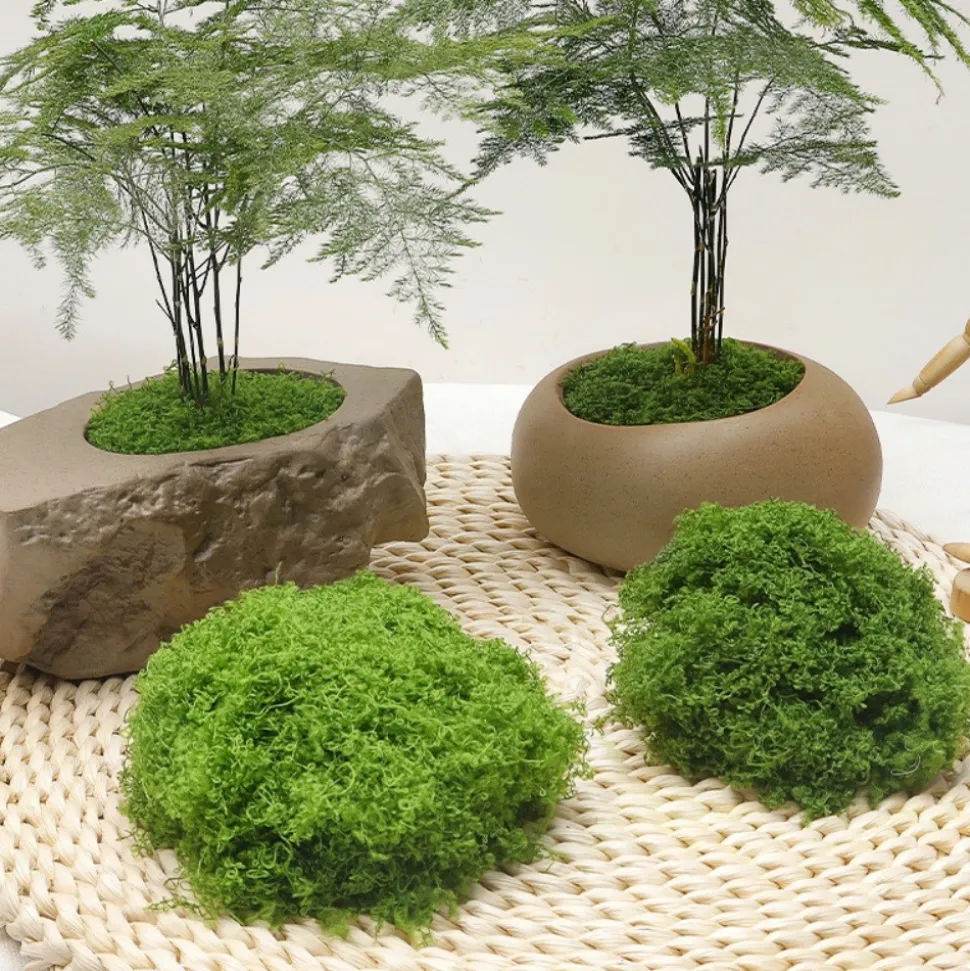 DTOPBUYAGE - Mousse artificielle pour décoration de jardin pack de 2 dtopbuyage