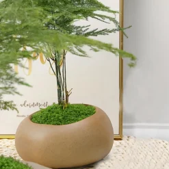 DTOPBUYAGE - Mousse artificielle de 20g*2 pour décoration de jardin dtopbuyage