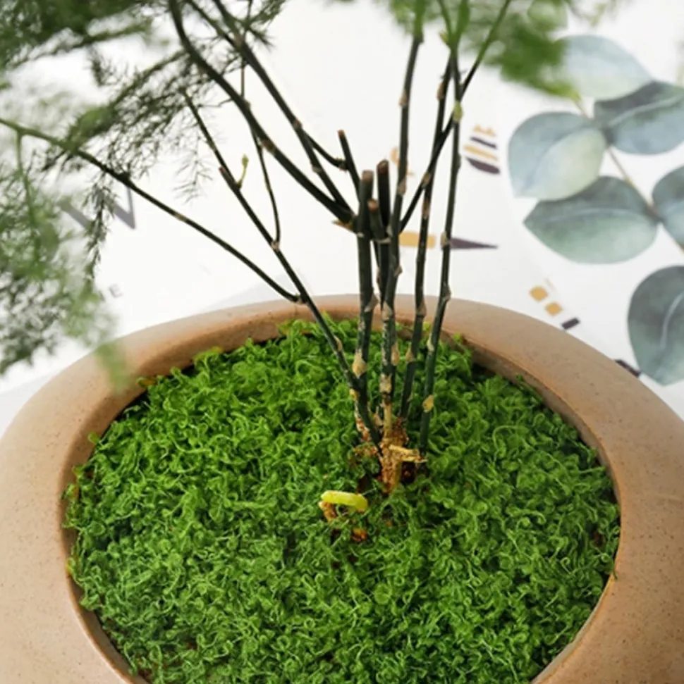 DTOPBUYAGE - Mousse artificielle de 20g*2 pour décoration de jardin dtopbuyage