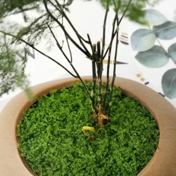 DTOPBUYAGE - Mousse artificielle de 100g*2 pour décoration de jardin dtopbuyage