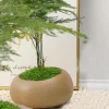 DTOPBUYAGE - Mousse artificielle de 30g*2 pour décoration de jardin dtopbuyage