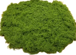 DTOPBUYAGE - Mousse artificielle de 30g*2 pour décoration de jardin dtopbuyage