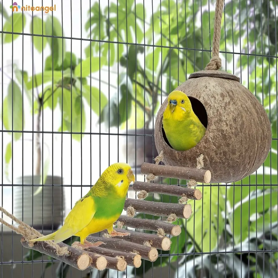 DTOPBUYAGE - Nid et jouet pour oiseaux et hamsters avec échelle
