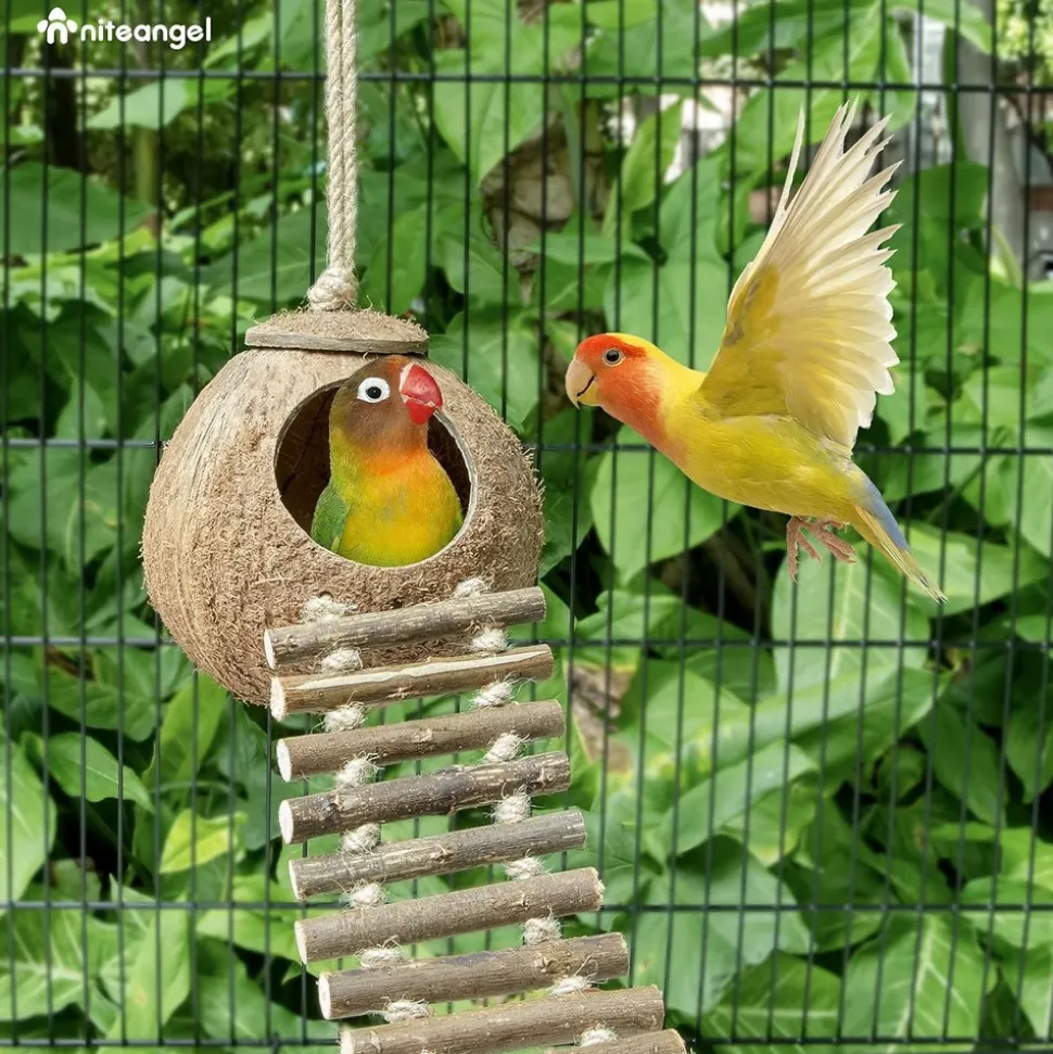 DTOPBUYAGE - Nid et jouet pour oiseaux et hamsters avec échelle